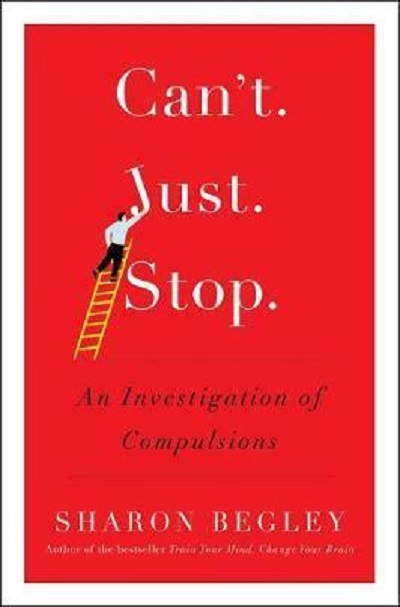 An Investigation of Compulsions Hardcover